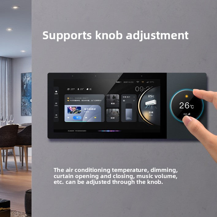 Smart Home Central Control Screen with Music Host